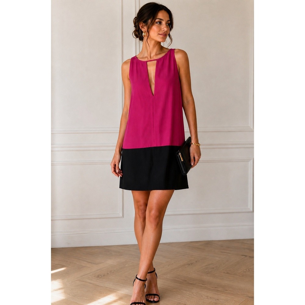 Parker 100% Silk Colorblock Mini Dress Women's XSmall Pink Black Night Out Chic - Picture 1 of 8